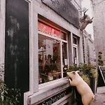 Cent Trente Oda ve Kahvaltı 3*