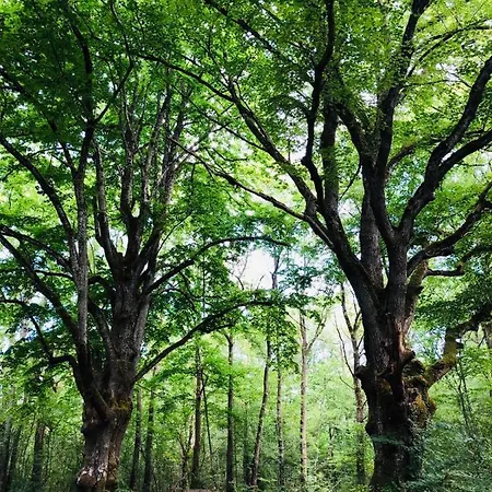 Bed & Breakfast Cent Trente 3*