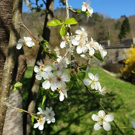 Cent Trente 3* Durbuy