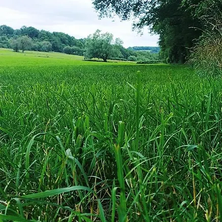 Cent Trente Bed & Breakfast Durbuy